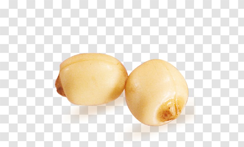 Lotus Seed Nelumbo Nucifera Potato - Seeds Transparent PNG