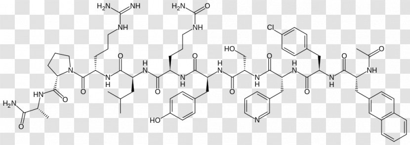Ganirelix Dietary Supplement Lignin Gonadotropin-releasing Hormone Polyphenol - Silhouette - Cartoon Transparent PNG