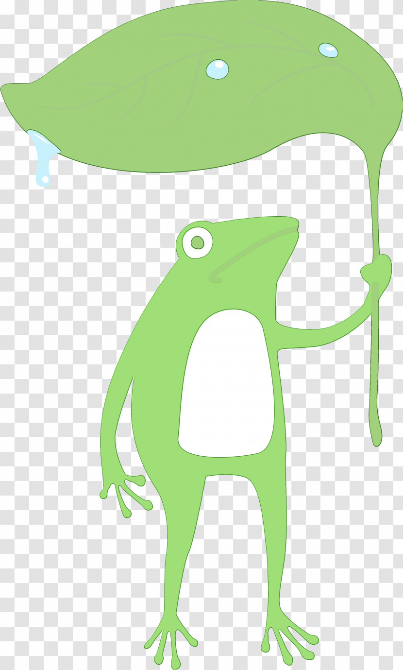 Toad Cartoon Frogs Tree Frog Leaf Transparent PNG