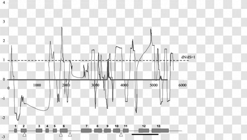 Fucoxanthin Marine Drugs Pharmacology - Carotenoid - Population Bottleneck Transparent PNG