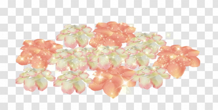 Flower Petal Blume Rose - Peach Transparent PNG