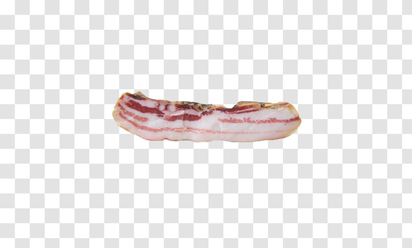 Mettwurst Back Bacon Fuet Cervelat Salt-cured Meat - Animal Source Foods - Capitone Transparent PNG