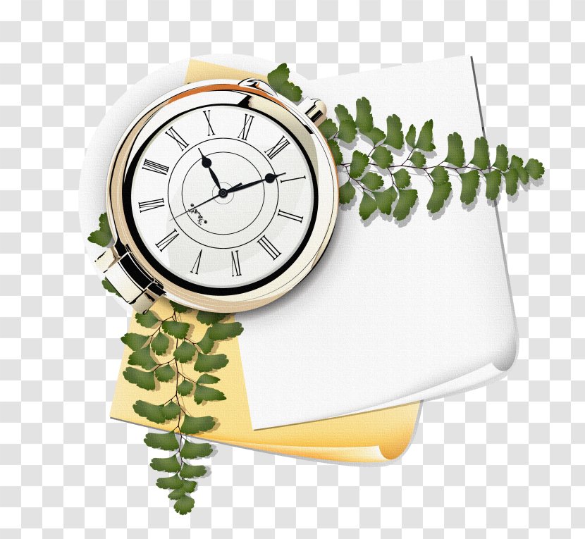 Photography Download - Watch - Clock Transparent PNG
