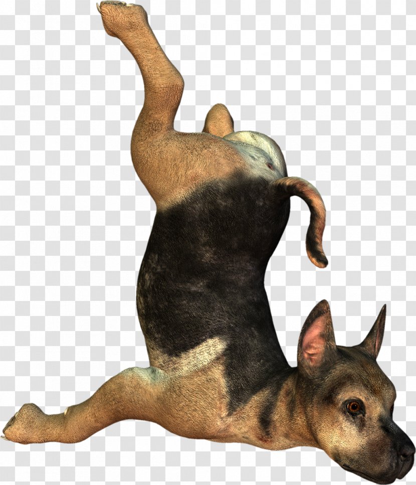 Dog Puppy 3D Computer Graphics - Gratis - Handsome Meng Do Not Pull The Picture Transparent PNG