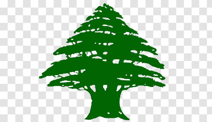 Flag Of Lebanon T-shirt President - Woody Plant Transparent PNG