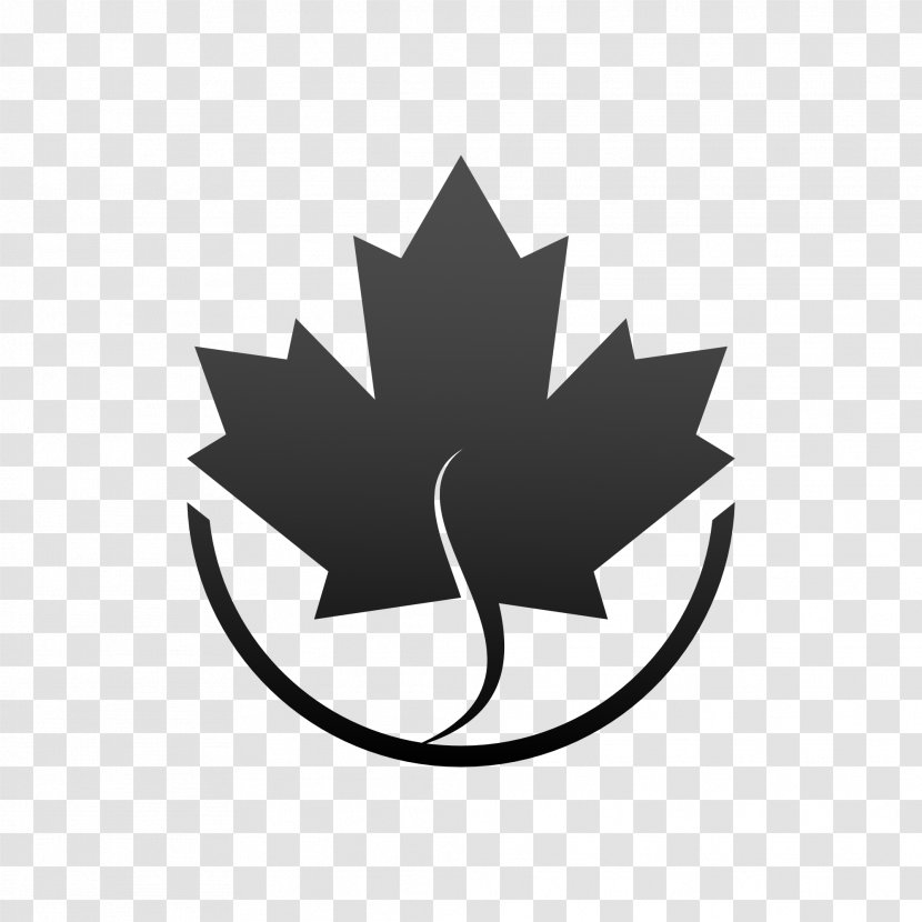Maple Leaf Flag Of Canada - Symbol - Icy Transparent PNG