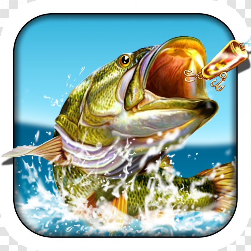 Pocket Fishing I 3 Ultimate Simulator - Curling King Free Sports Game Transparent PNG