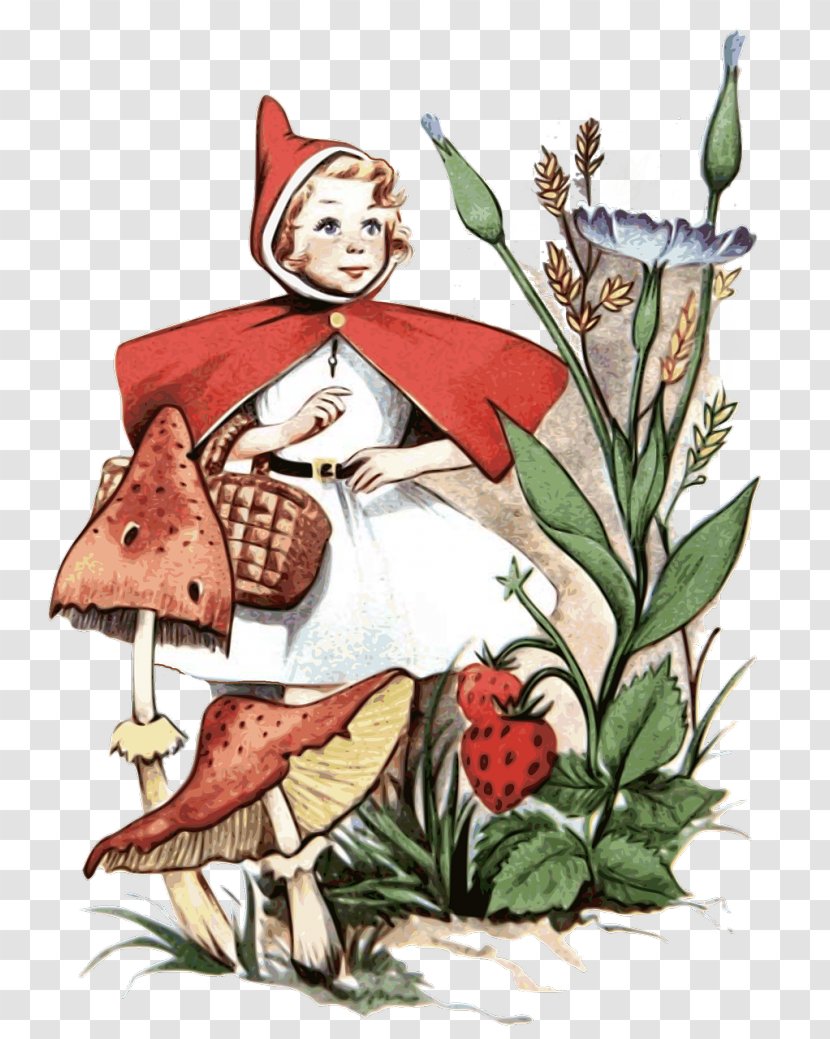 Little Red Riding Hood Big Bad Wolf Alice's Adventures In Wonderland Fairy Tale - Heart Transparent PNG