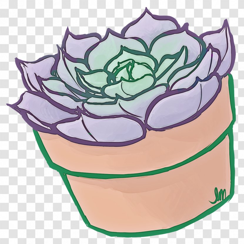 Purple Leaf Flowerpot Cabbage Plant - Flower - Petal Echeveria Transparent PNG