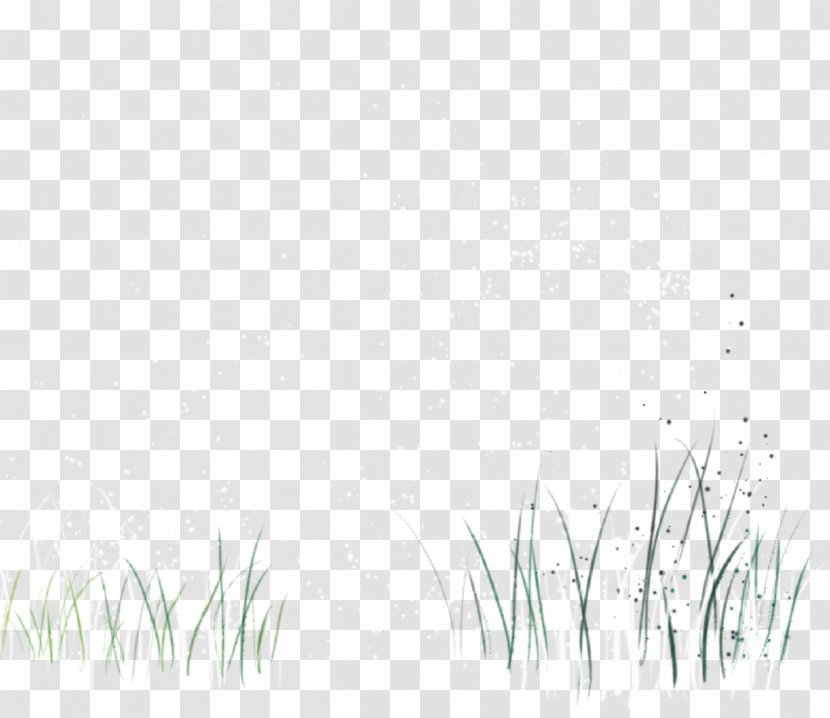 White Black Pattern - Texture - Green Grass Transparent PNG