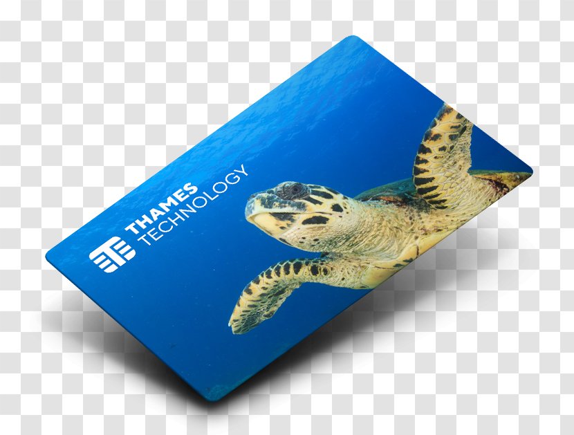 Business Loyalty Natural Environment Sustainability Thames Card Technology Ltd - Animal - Blocks Mockup Transparent PNG