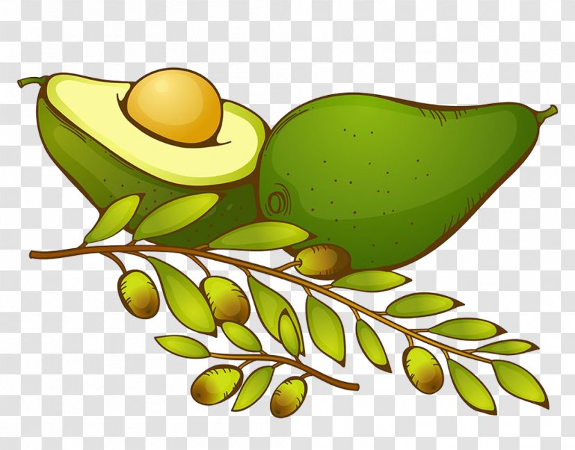 Avocado Clip Art - Animation - Cut Olives Transparent PNG