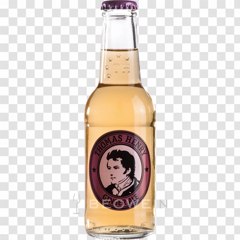Ginger Ale Beer Horse's Neck Cocktail - Tonic Water Transparent PNG