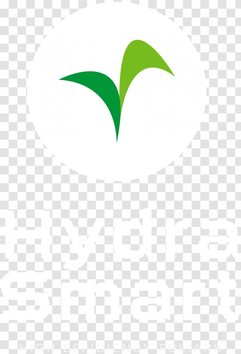 Leaf Logo Desktop Wallpaper Brand - Computer Transparent PNG