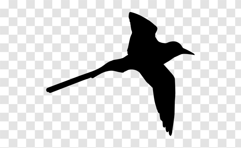 Bird Flight Shape Swallow - Beak Transparent PNG