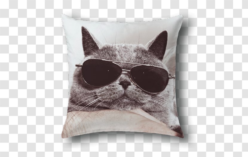 British Shorthair Kitten Funny Animal Stock Photography Cat Litter Trays Transparent PNG