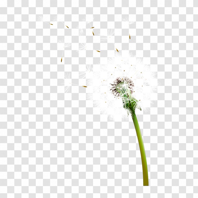 Dandelion Euclidean Vector - Tree - Floating Transparent PNG