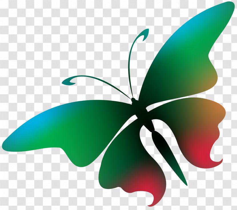 Butterfly Photography - Insect - Butterflies Float Transparent PNG