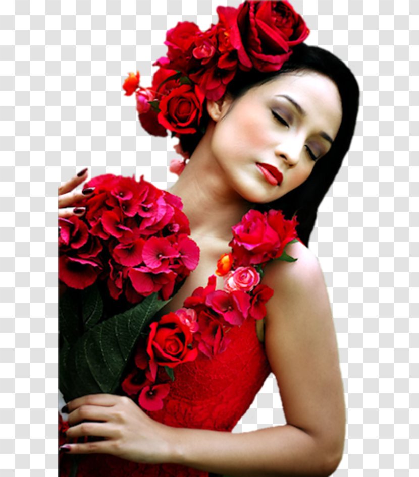 Garden Roses Бойжеткен Cut Flowers - Tree - Rose Transparent PNG