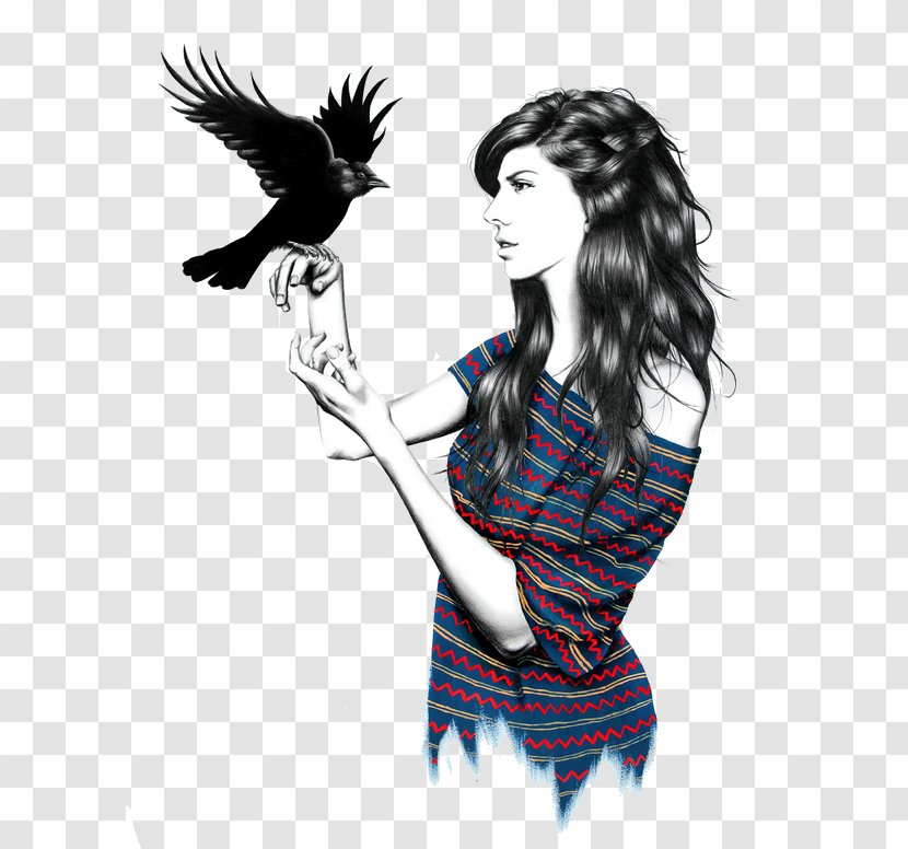 Drawing Work Of Art Illustrator - Tree - Solitaire Bird In Rodrigues Transparent PNG