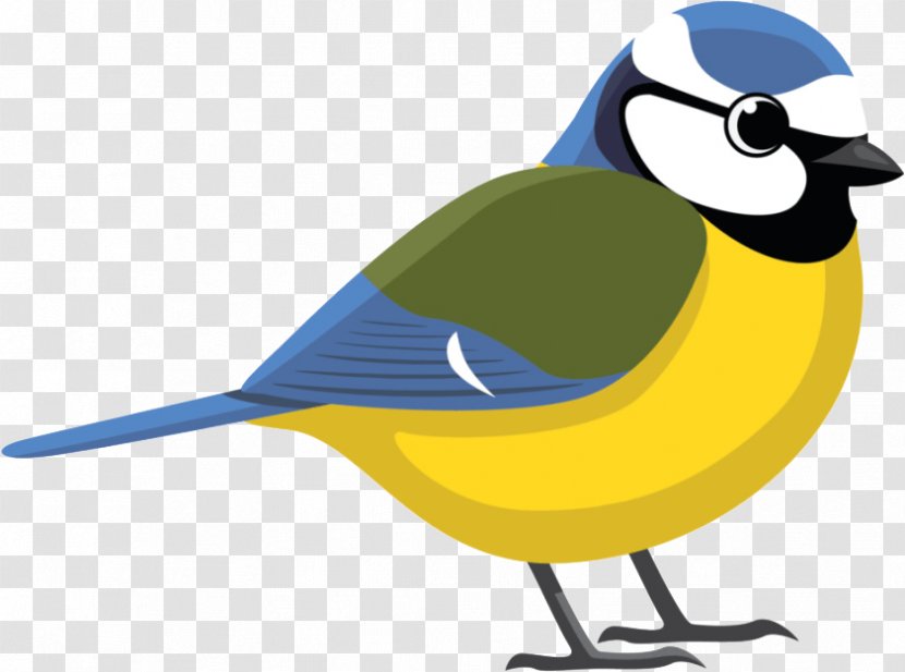 Bird Clip Art Eurasian Blue Tit Vector Graphics - Beak Transparent PNG