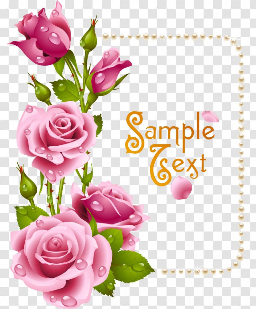 Rose Picture Frame Flower Pink Clip Art - Plant - Roses Transparent PNG