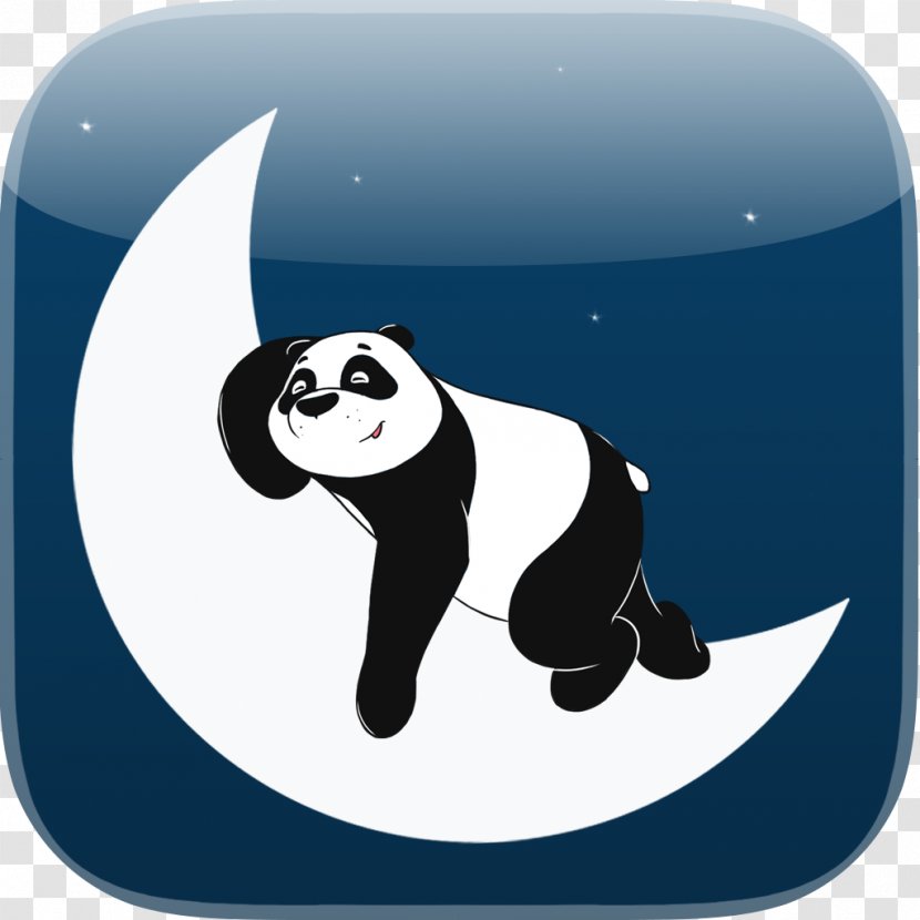 Bear Giant Panda Night Child Sleep Transparent PNG