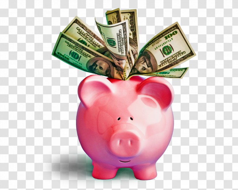 Piggy Bank - Domestic Pig - Banknote Transparent PNG