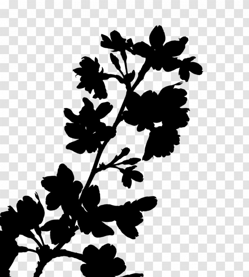 Clip Art Leaf Silhouette Plant Stem Family M Invest D.o.o. - Twig - Plants Transparent PNG