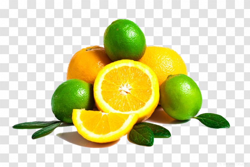 juice lemon key lime grapefruit citrus xd7 sinensis diet food fresh transparent png pnghut