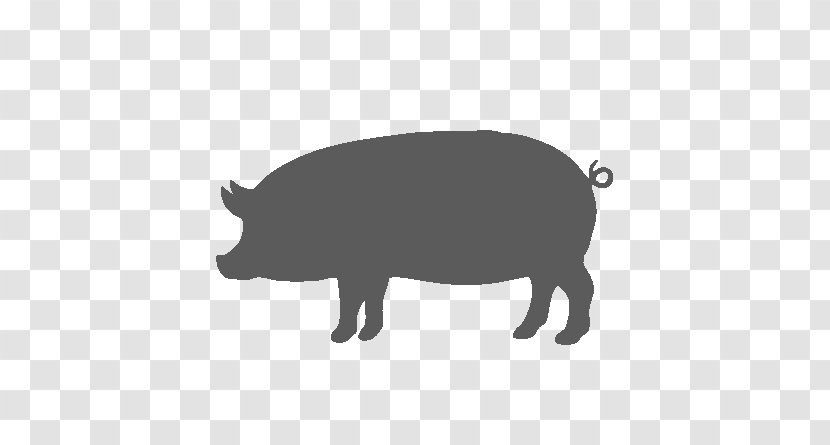 Pig Cartoon - Boar - Livestock Transparent PNG
