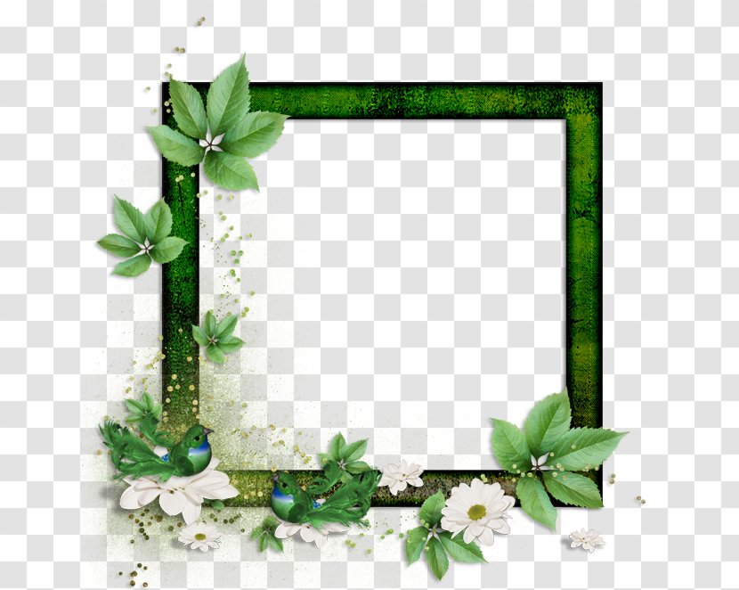 Picture Frames Paper Photography - Scrapbooking - Flower Transparent PNG