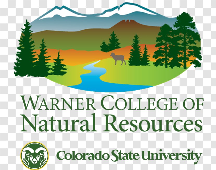 Warner College Of Natural Resources North Carolina State University - Area - School Transparent PNG