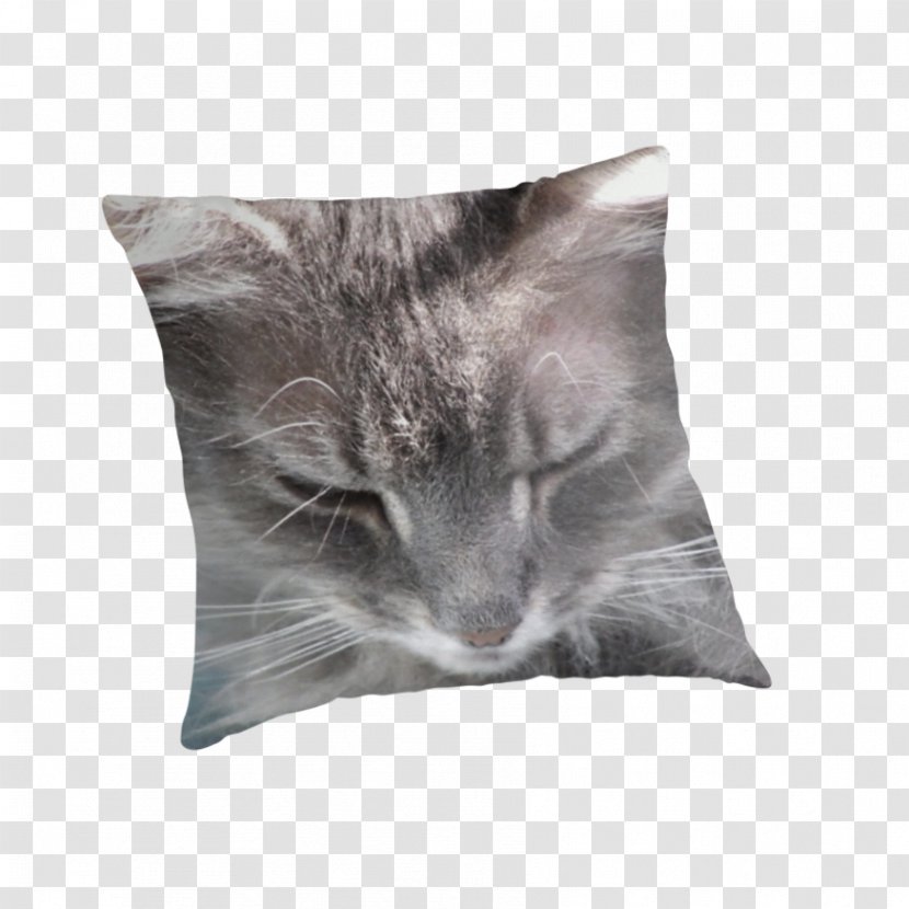 Tabby Cat Kitten Whiskers Mammal - Cushion - Smoky Transparent PNG