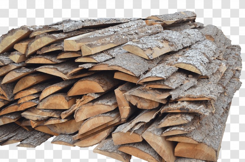 Wood Bark Jordi Giribets, Fusta Trunk Door - Com Transparent PNG