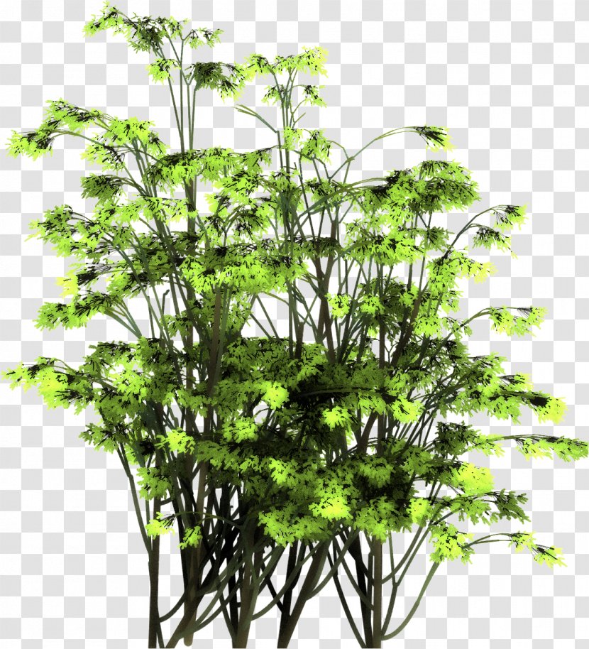 Brush Particle Project Dogwaffle Leaf Root - Shrub Transparent PNG