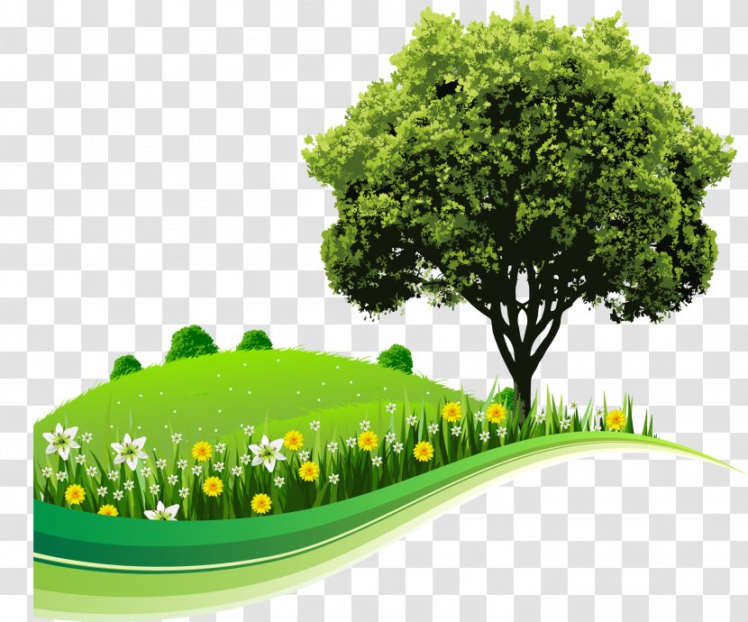 Tree Landscape Nature Drawing - Theatrical Scenery - Kids Background Transparent PNG