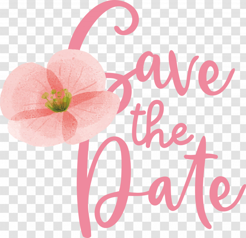 Cut Flowers Flower Petal Font Pink M Transparent PNG