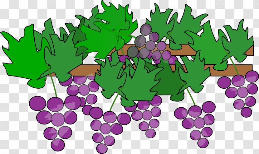 Red Wine Common Grape Vine Clip Art - Growing Family Cliparts Transparent PNG