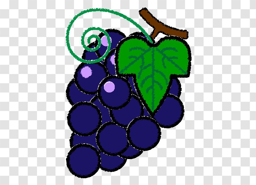 Grapevines Fruit Clip Art - Color - Grape Transparent PNG