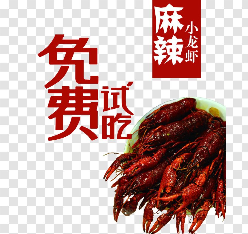 Poster Palinurus Elephas Gratis - Spicy Lobster Transparent PNG