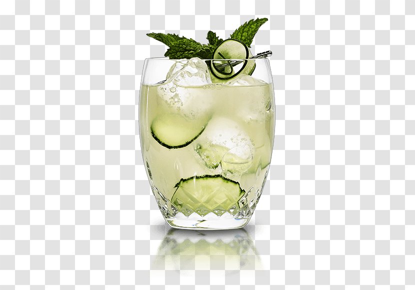 Gin And Tonic Water Cocktail Cointreau - Recipe Transparent PNG