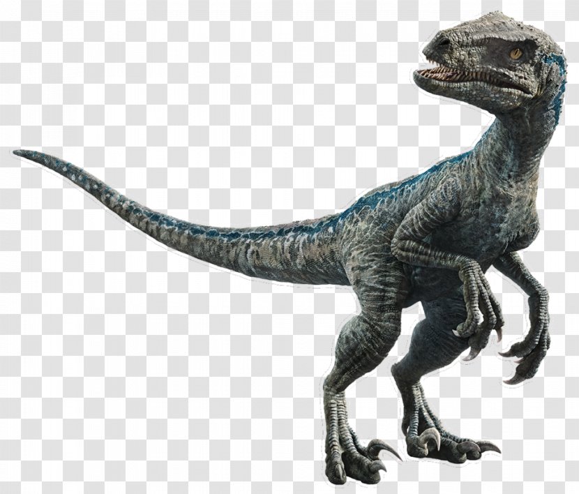 Velociraptor LEGO Jurassic World: The Indominus Escape Stygimoloch Dinosaur Blue Transparent PNG