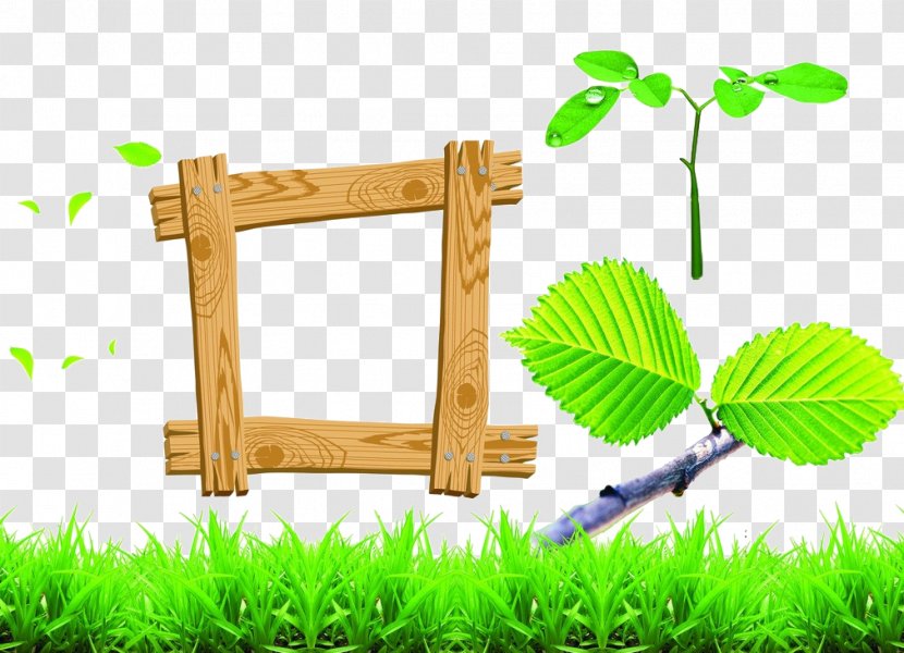 Green Wood Picture Frame - Information Transparent PNG