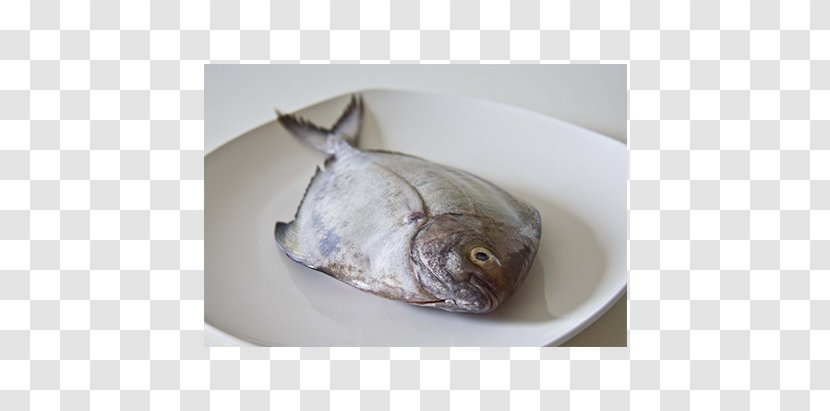Fried Fish Black Pomfret Food - Catla Transparent PNG