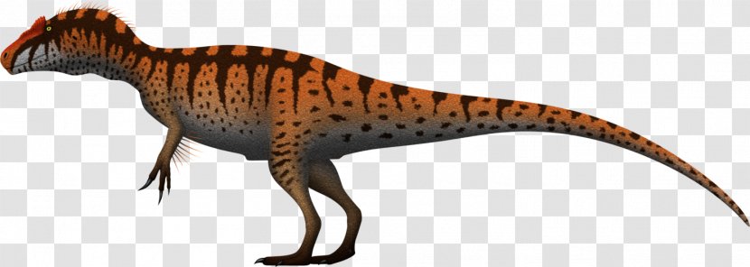 Tyrannosaurus Allosaurus Giganotosaurus Metriacanthosaurus Torvosaurus - Terrestrial Animal - European Clipart Transparent PNG