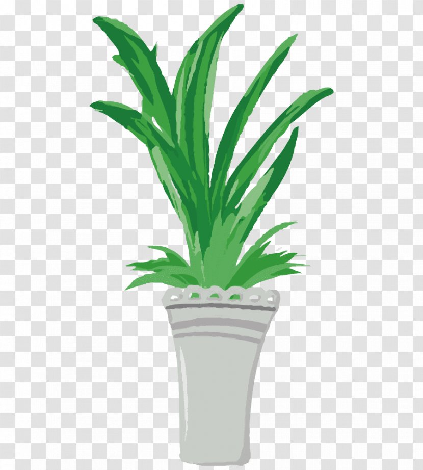 Palm Trees Flowerpot Plants Illustration - Grass Transparent PNG