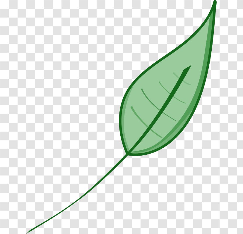 Leaf Green Clip Art - Plant - Icon Transparent PNG
