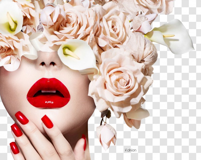 Manicure Beauty Parlour Fashion Stock Photography - Nail Transparent PNG