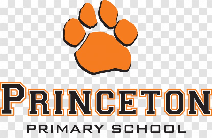 Princeton University Elementary School Education State Transparent PNG